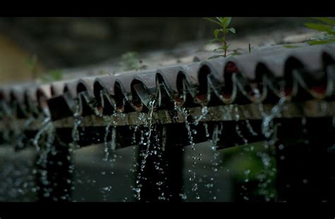 imagens lindas de chuva caindo pesquisa google sound  raindrops