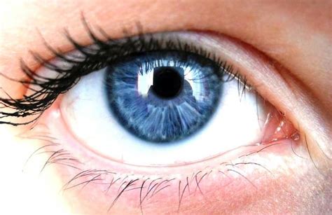 10 ways to keep your eyes healthy independent ie