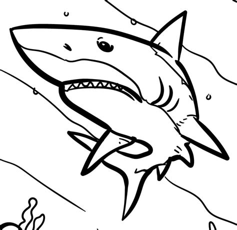 awesome shark coloring page  printable coloring pages  kids