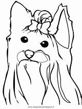 Cairn Terrier Getdrawings Drawing sketch template