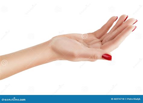 female hand palm  stock photo image  manicure human