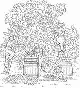 Coloring Pages Fall Picking Apple Kidprintables Return Main sketch template