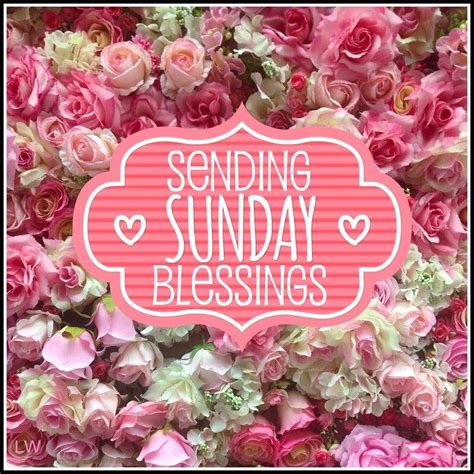 sending sunday blessings pictures   images  facebook