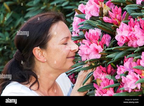 frau riecht  rhododendronblte stock photo alamy