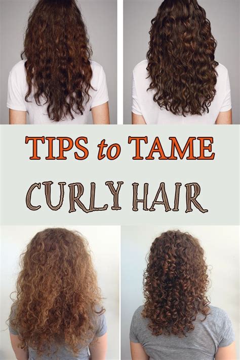 Tips To Tame Curly Hair Curly Hair Styles Dry Curly Hair Curly Hair