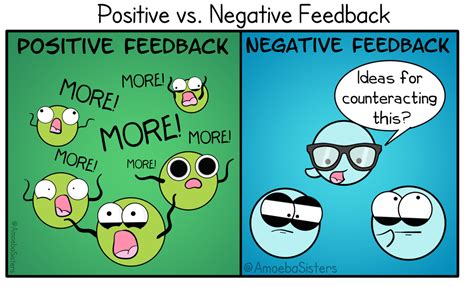 positive  negative feedback science   amoeba sisters