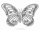 Butterfly Coloring Pages Kids Beautiful Pretty Flowers Monarch Flower Drawing Adults Drawings Print Book Butterflies Printable Color Nice Impressive Heart sketch template