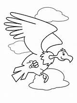 Coloring Pages Condor Condors Birds Recommended sketch template