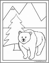 Grizzly Coloring Bear Pages Bears Cute Sheet Colorwithfuzzy sketch template