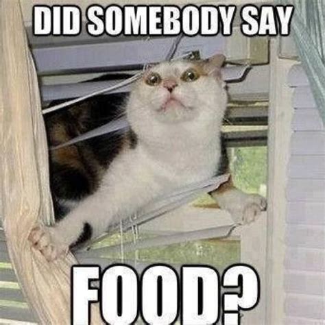 food funny meme picture