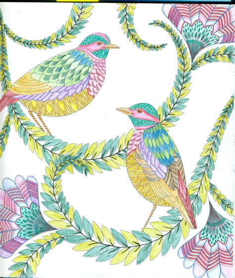 millie marotta coloring pages  birds millie marotta coloring book