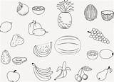 Fruit Coloring Pages Printable Salad Fruits Kids Drawing Color Sheets Sheet Cute Print Easy Food Papaya Tree Vegetable Getcolorings Awesome sketch template