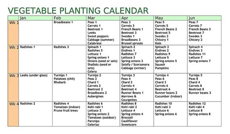 plant vegetables calendar   plant vegetables planting