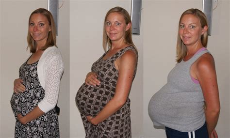pregnancy progression gallery the maternity gallery