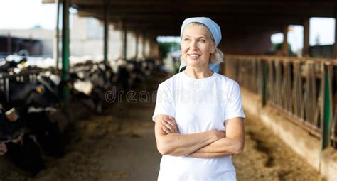 Smiling Mature Female Farmer Standing Near Cows At The Cow Farm Stock