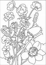 Coloring Flowers Pages Flower Nicole Willem Leen Van Inspiration Printable Colouring Adult Choose Board sketch template