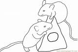 Coloring Mice Coloringpages101 sketch template