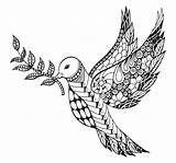 Zentangle Dove Vector Peace Olive Stylized Branch Illustration Ornate International sketch template