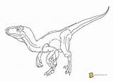 Coloring Velociraptor Pages Dinosaur Raptor Jurassic Blue Husband Print Wife Getcolorings Color Printable Getdrawings Clipart Colorings Library Popular Lingo Sketch sketch template