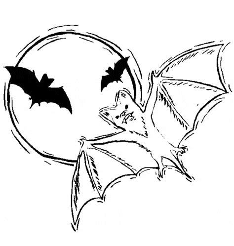 vampire bat coloring page animals town animals color sheet