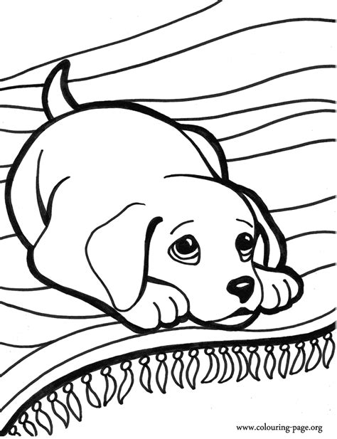 baby puppy coloring pages coloring home