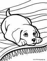 Coloring Cute Pages Puppy Print Popular sketch template