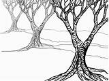 Tree Leaves Drawing Getdrawings sketch template