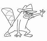 Perry Platypus Ferb Phineas Coloring Pages Draw Drawing Step Agent Kids Lesson Finished Drawinghowtodraw Sheets Printable Characters Line 2009 Cartoon sketch template