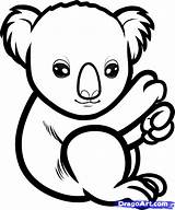 Koala Baby Clipart Outline Coloring Pages Draw Rainforest Step Library sketch template