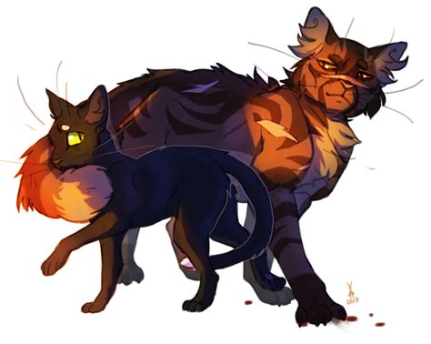Ravenpaw And Tigerclaw By Poselenets On Deviantart