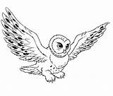 Owl Flying Drawing Colour Coloring Pages Beautiful Cute Wallpaper Potter Harry Outline Getdrawings Clipart Bird Tattoo Color Halloween Drawings sketch template