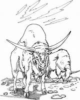 Buffalo Bufalo Fresco Gocce sketch template