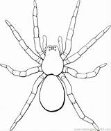 Spider Halloween Coloring Pages Getdrawings sketch template