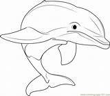 Coloring Dolphin Beautiful Dolphins Pages Coloringpages101 Kids Printable Print sketch template