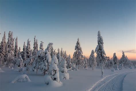 winter  arctic finland