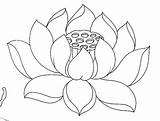 Lotus Designlooter sketch template