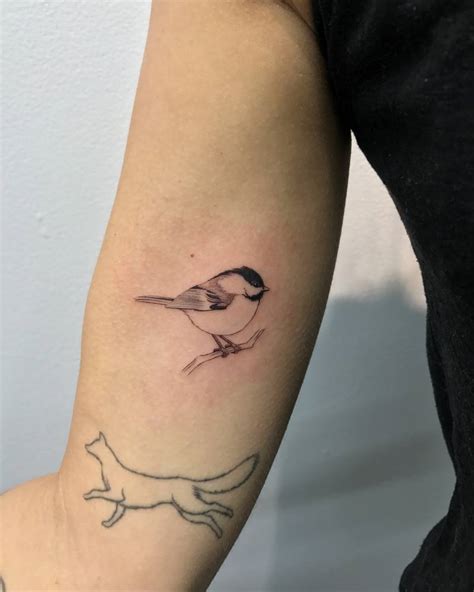 black capped chickadee tattoo     arm