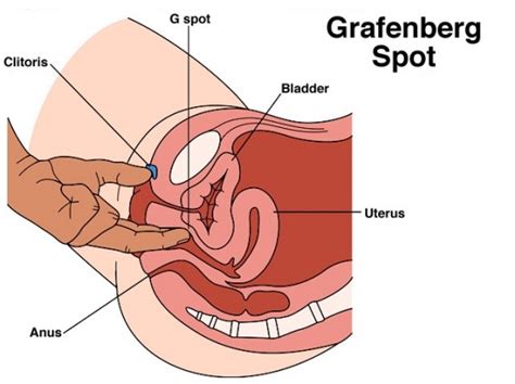 Best sex position to hit the g spot