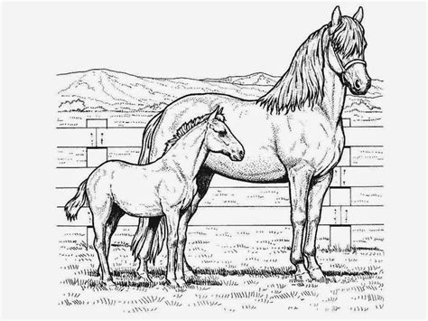 great horse coloring pages   coloring pages