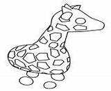 Coloring Pages Adopt Giraffe Print sketch template