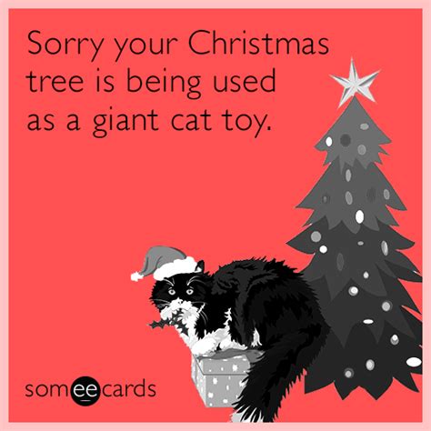 Sorry Your Christmas Tree Is Being Used As A Giant Cat Toy Holidays