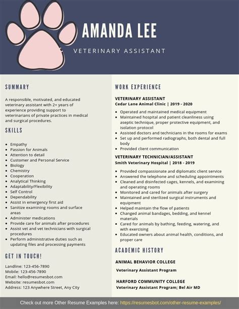 create  improve  veterinary assistant resume  resume