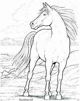 Coloring Pages Horse Head Spirit Stallion Print Cimarron Printable Color Getdrawings Getcolorings sketch template