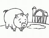 Pig Coloring Pages Printable Baby Kids sketch template