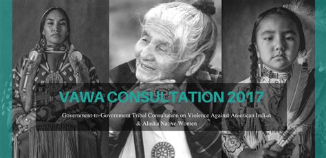 vawa consultation 2017