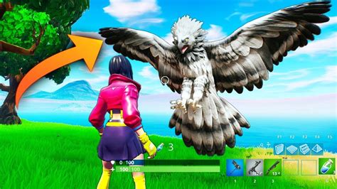 birds  fortnite fortnite funny wtf fails  daily  moments ep check mo