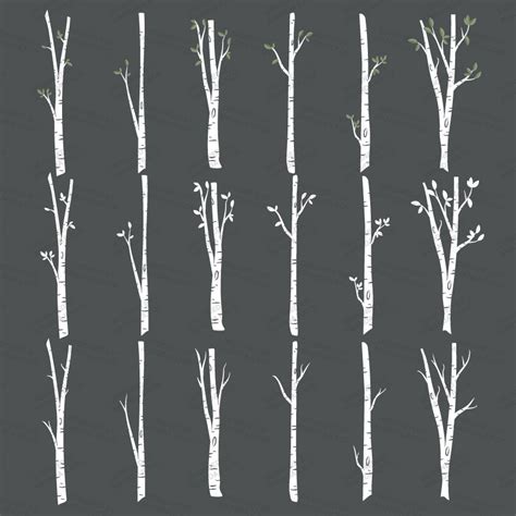 premium birch tree clipart vector set birch tree clip art