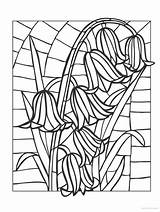 Coloring Pages Glass Stained Adult Flowers Colouring Flower Adults Choose Board sketch template