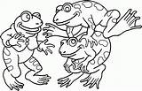Coloring Pond Frog Pages Popular sketch template