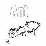 Ant Coloring Ants Pages Big Designlooter Toddler Based Theme Will 230px 09kb sketch template